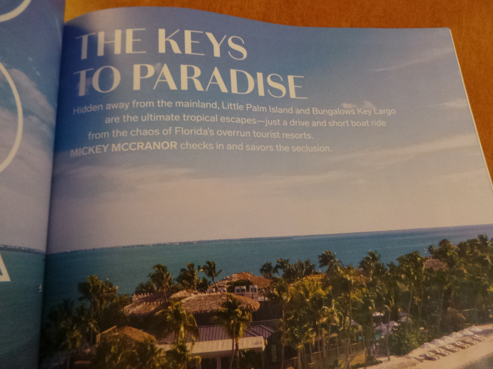 Avenue Magazine Dia Art Foundation; Scotland Distilleries; India Hicks Fall 2024