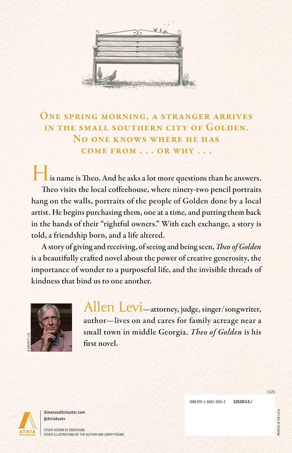 Theo of Golden : A Novel by Allen Levi (2025, Trade Paperback)