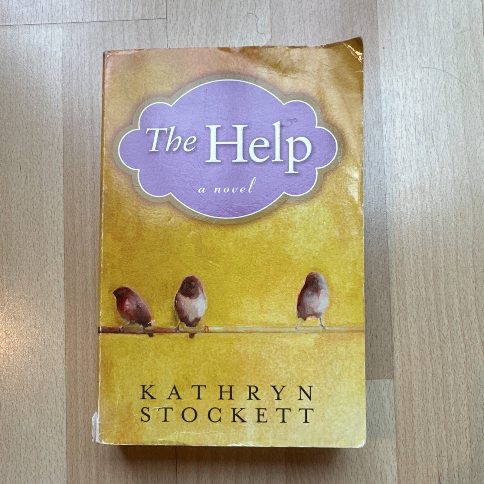 The Help Kathryn Stockett Paperback Novel Fiction English Amy Einhorn Books