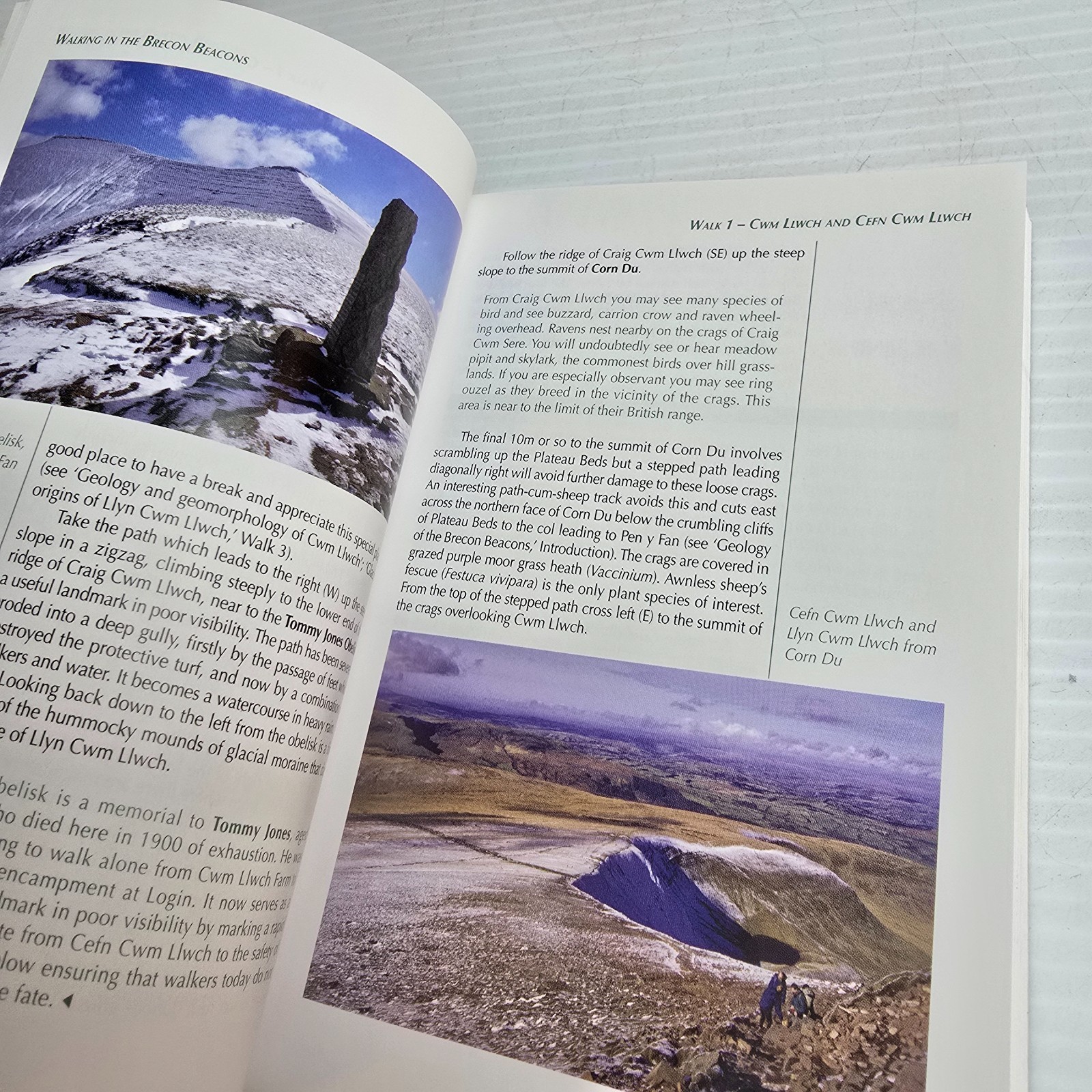 Walking on the Brecon Beacons: A Walker’s Guide to the National Park Andy Davies