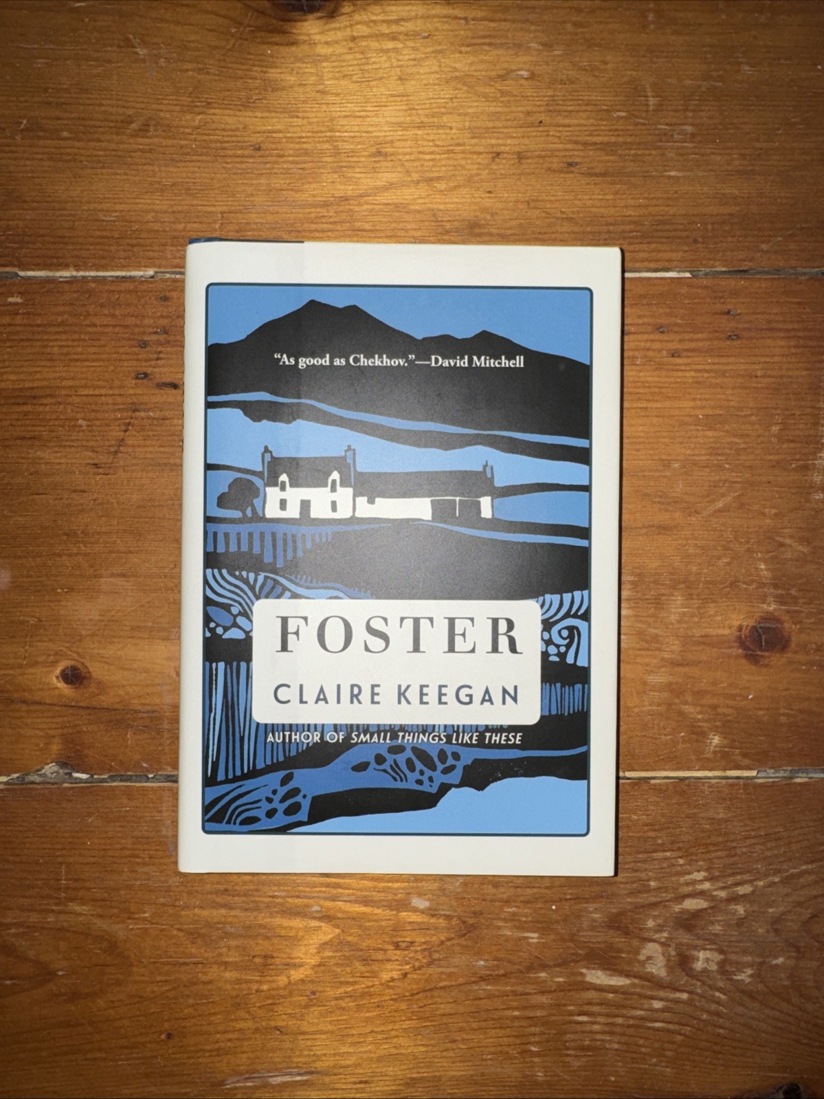 FOSTER – CLAIRE KEEGAN Hardcover NEW