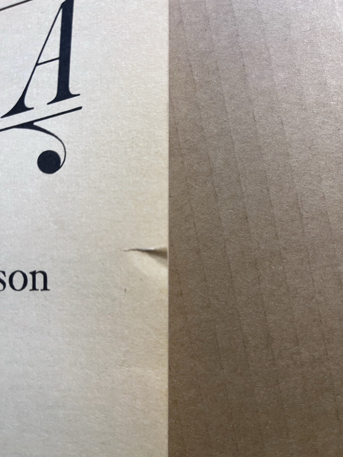 SULA by Toni Morrison vintage 1982 Plume trade paperback