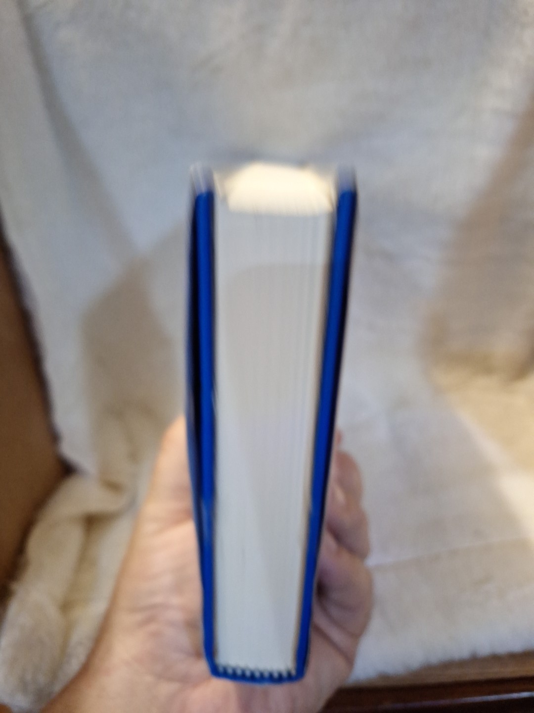 The Future Is Blue Hardcover Book No. 816 Of 1250- Catherynne M. Valente SIGNED✨