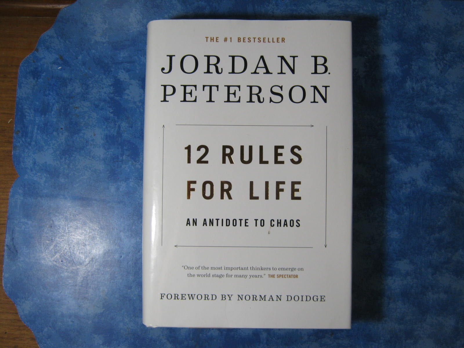12 RULES FOR LIFE Jordan B. Peterson HCDJ 2018 An Antidote to Chaos ILLUSTR GOOD