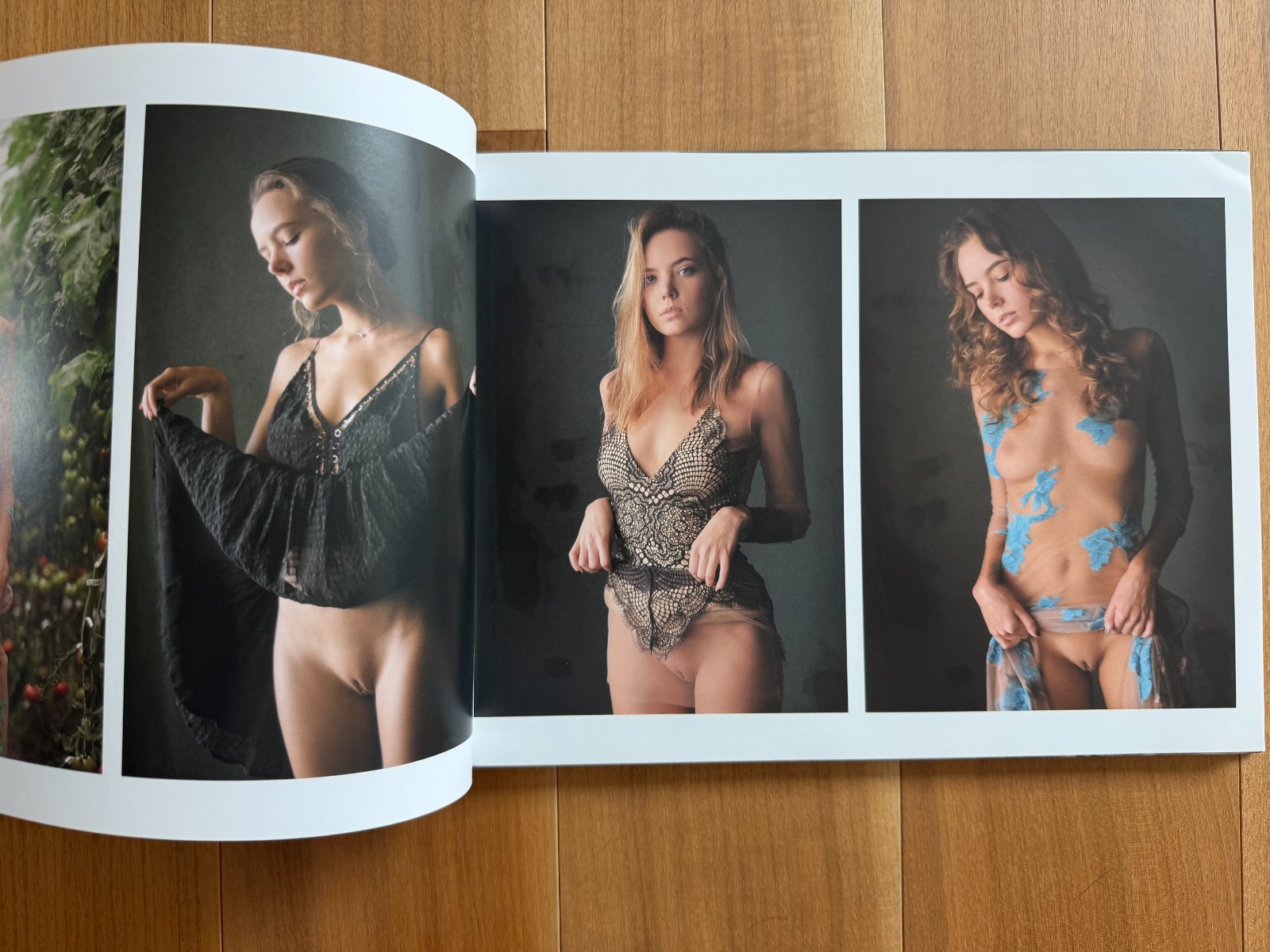 Dani Fehr: Naked Dream Girls and Naked Dream Girls 2, Edition Reuss, Like New