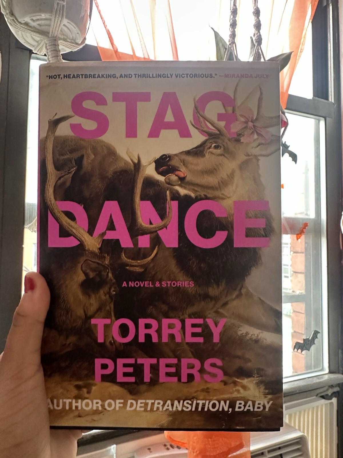 Stag Dance : A Novel and Stories by Torrey Peters (2025, Hardcover)