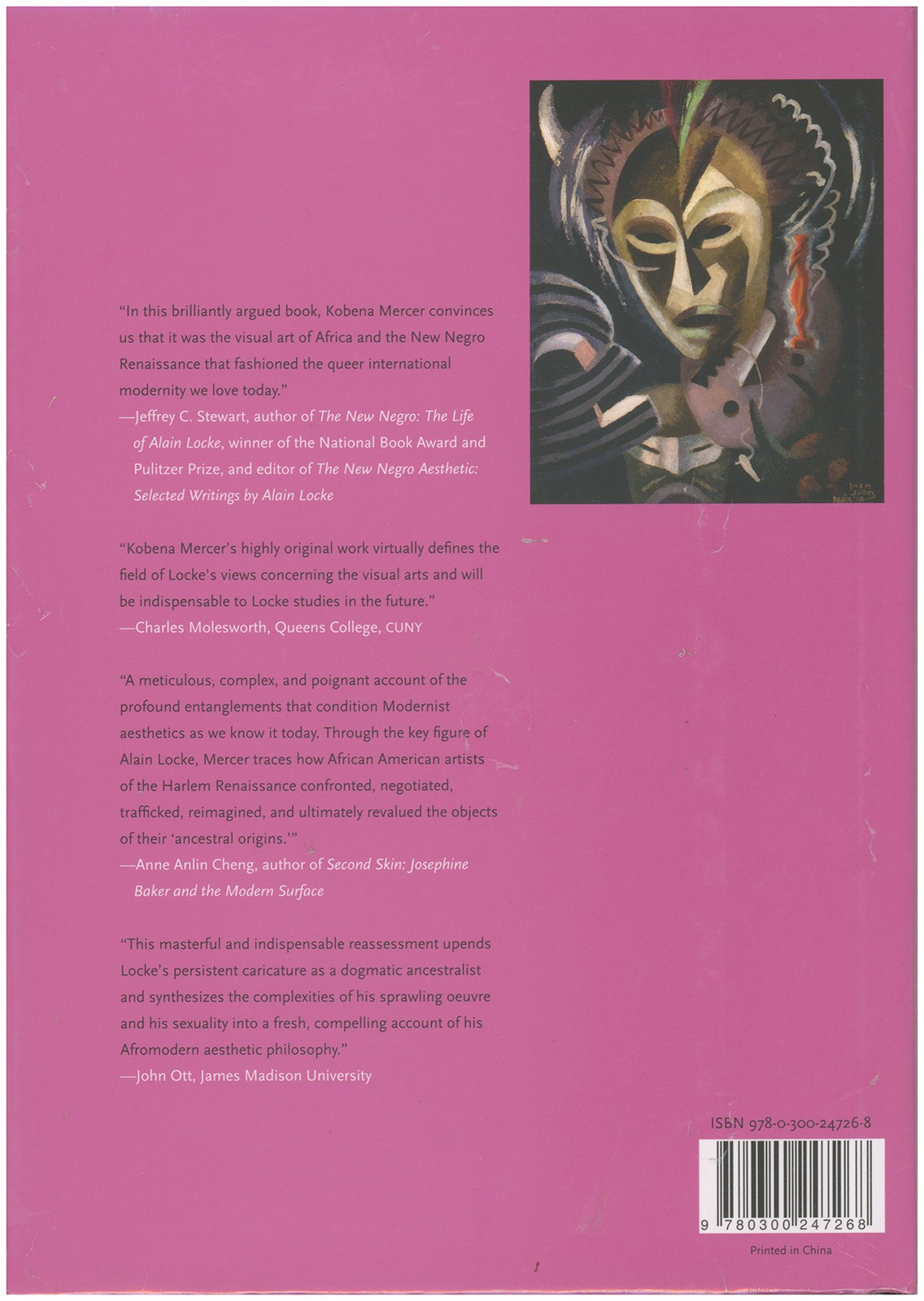 Alain Locke and the Visual Arts (Richard D. Cohen Lectures on African & Africa..