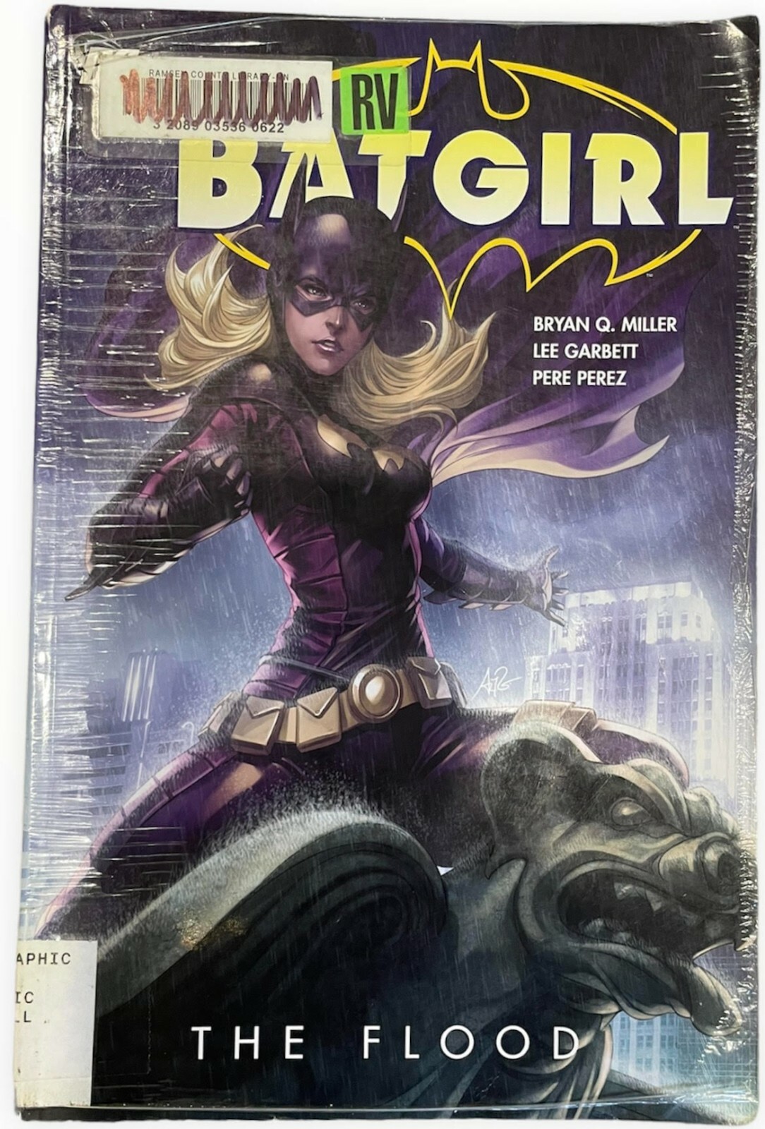 Batgirl: the Flood