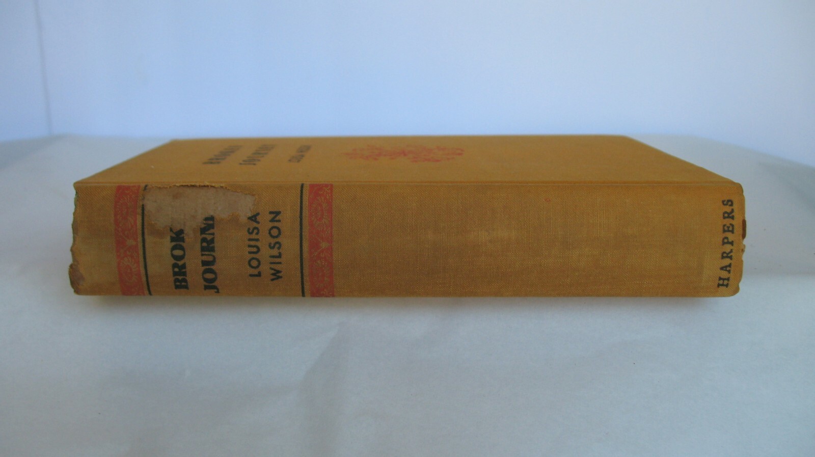 1935 BROKEN JOURNEY by Louisa Wilson ~~ First Edition ~~ 343 Pages