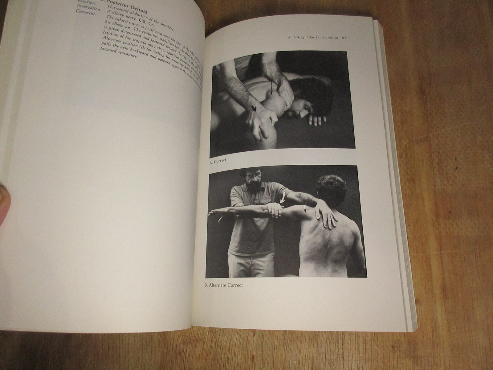 The Muscle Testing Handbook 1984 Occupational Therapy 194 Pages