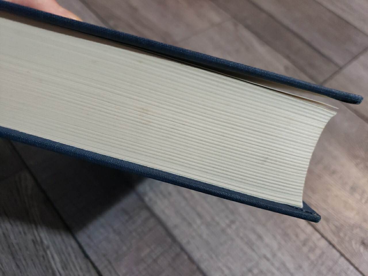 Targum Pseudo-Jonathan of the Pentateuch: Text and Concordance