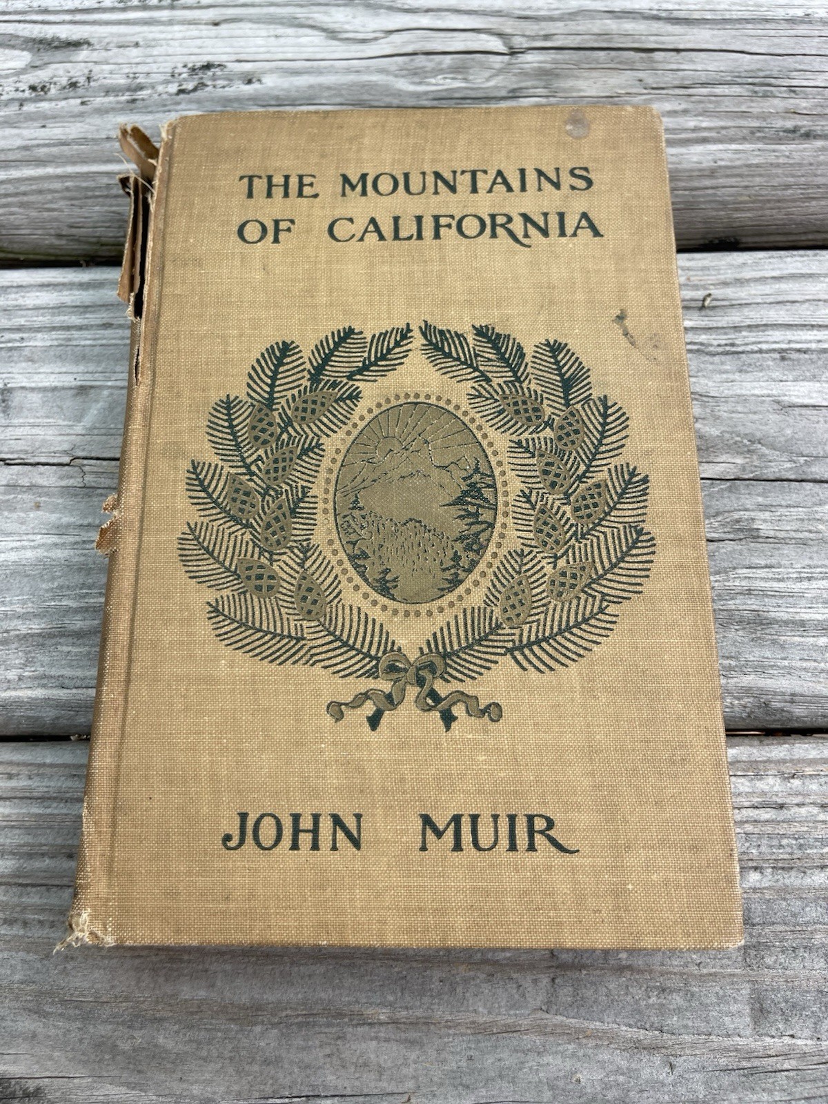 The Mountains Of California John Muir First Edition 1894 1st Printing Book 1800s