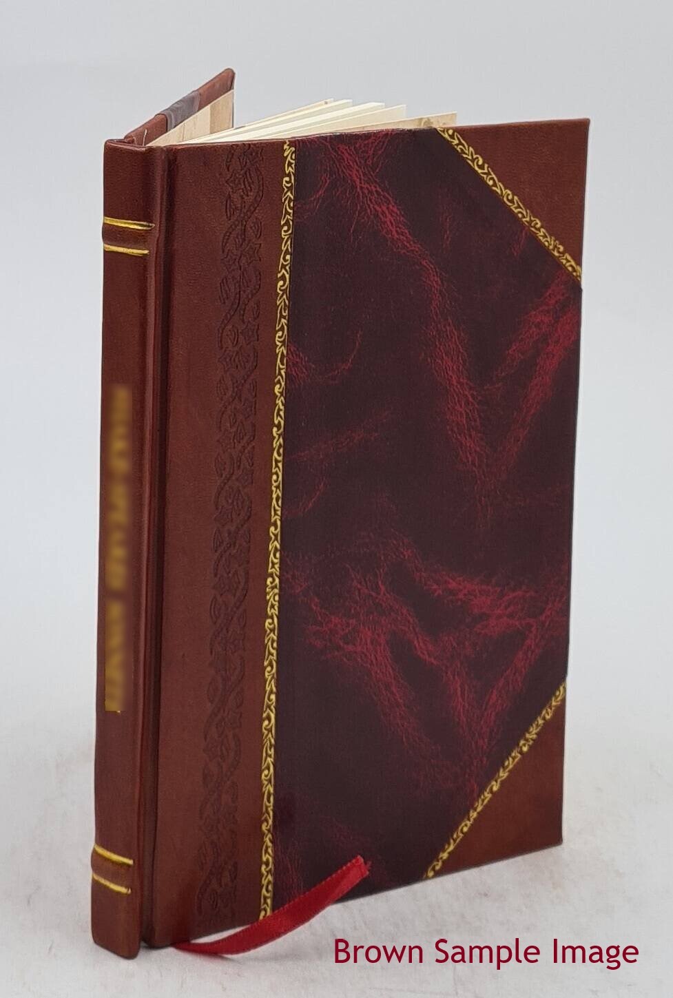 A Progressive Democracy A Record Of Reference Concerning The Sou [Leather Bound]