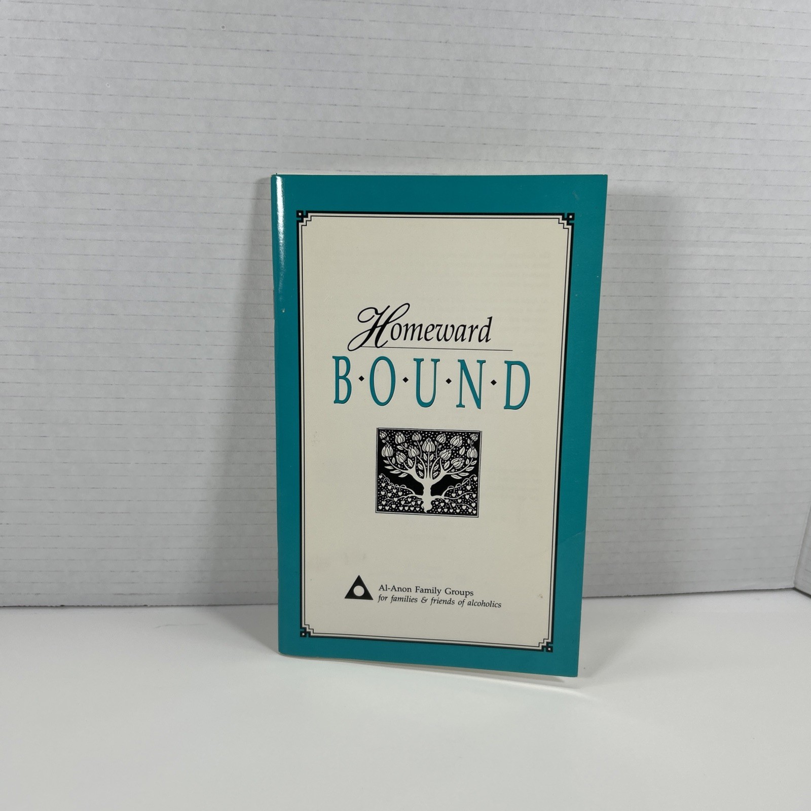 Homeward Bound by Al-Anon Family Group Headquarters, 1993, 48 pages