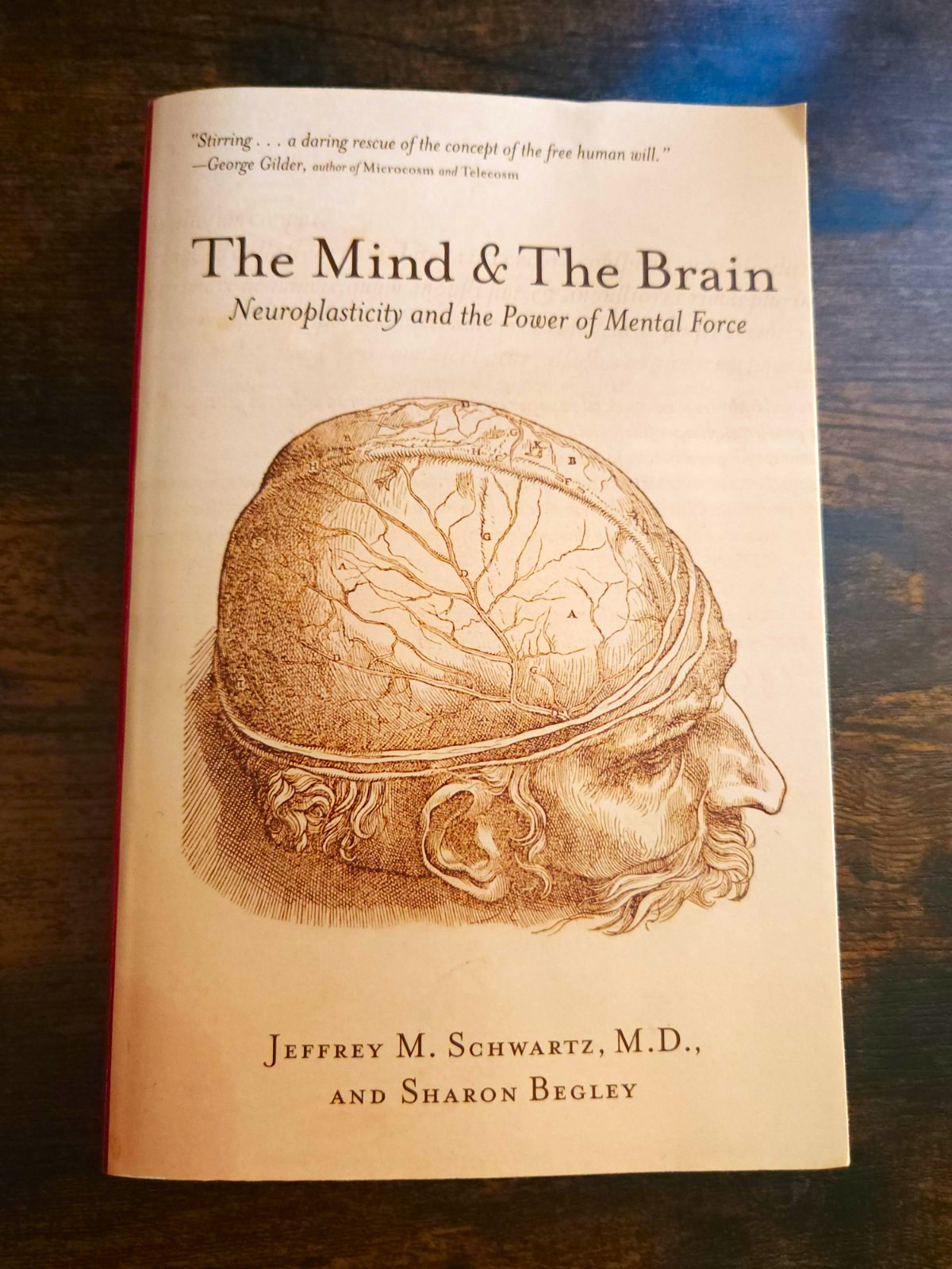 The Mind & The Brain Neuroplasticity Schwartz Begley Paperback Harper