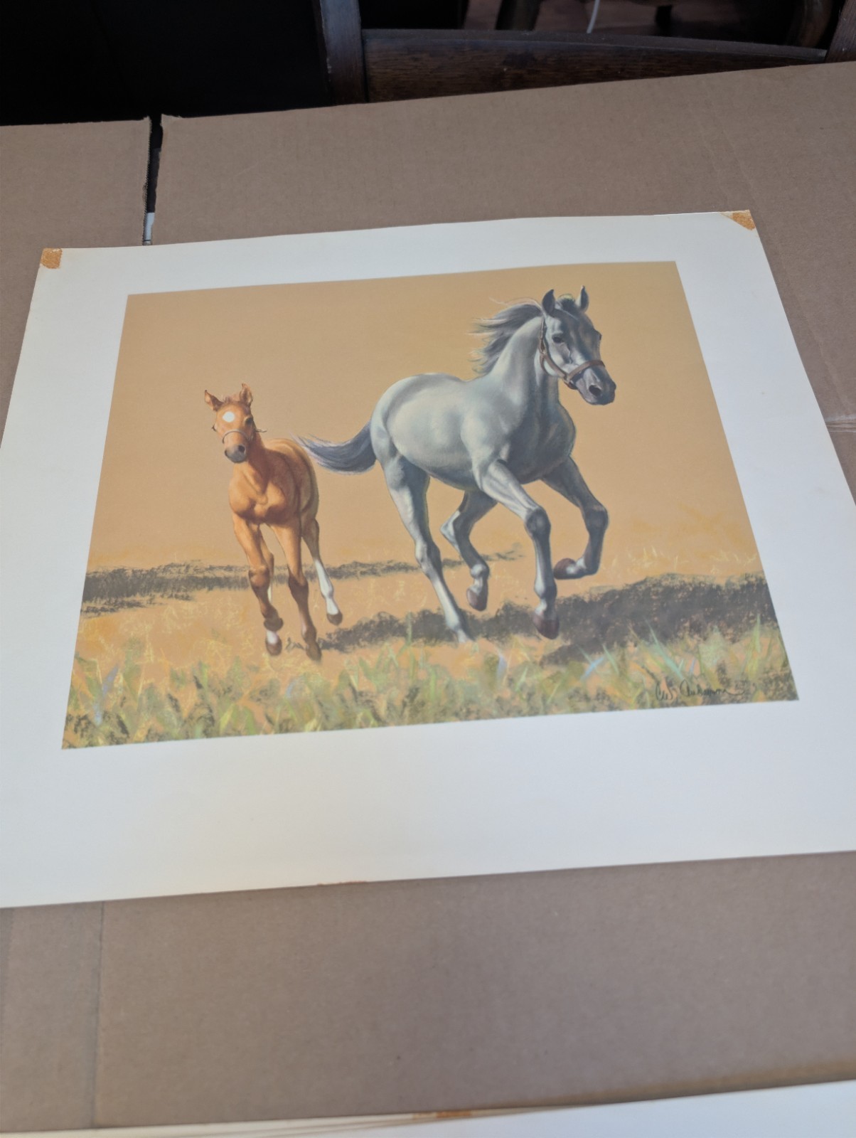 C.W. Anderson Grey Bay and Chestnut Horse Print Portfolio 1955 Harper 9 of 10