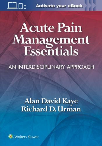 Acute Pain Management Essentials : An Interdisciplinary Approach, Paperback b…