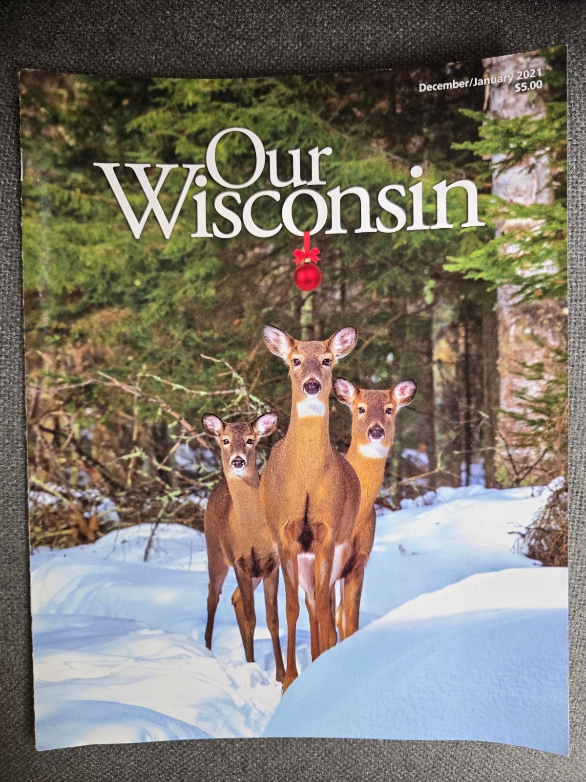 Our Wisconsin Magazine December/January 2021 Edition