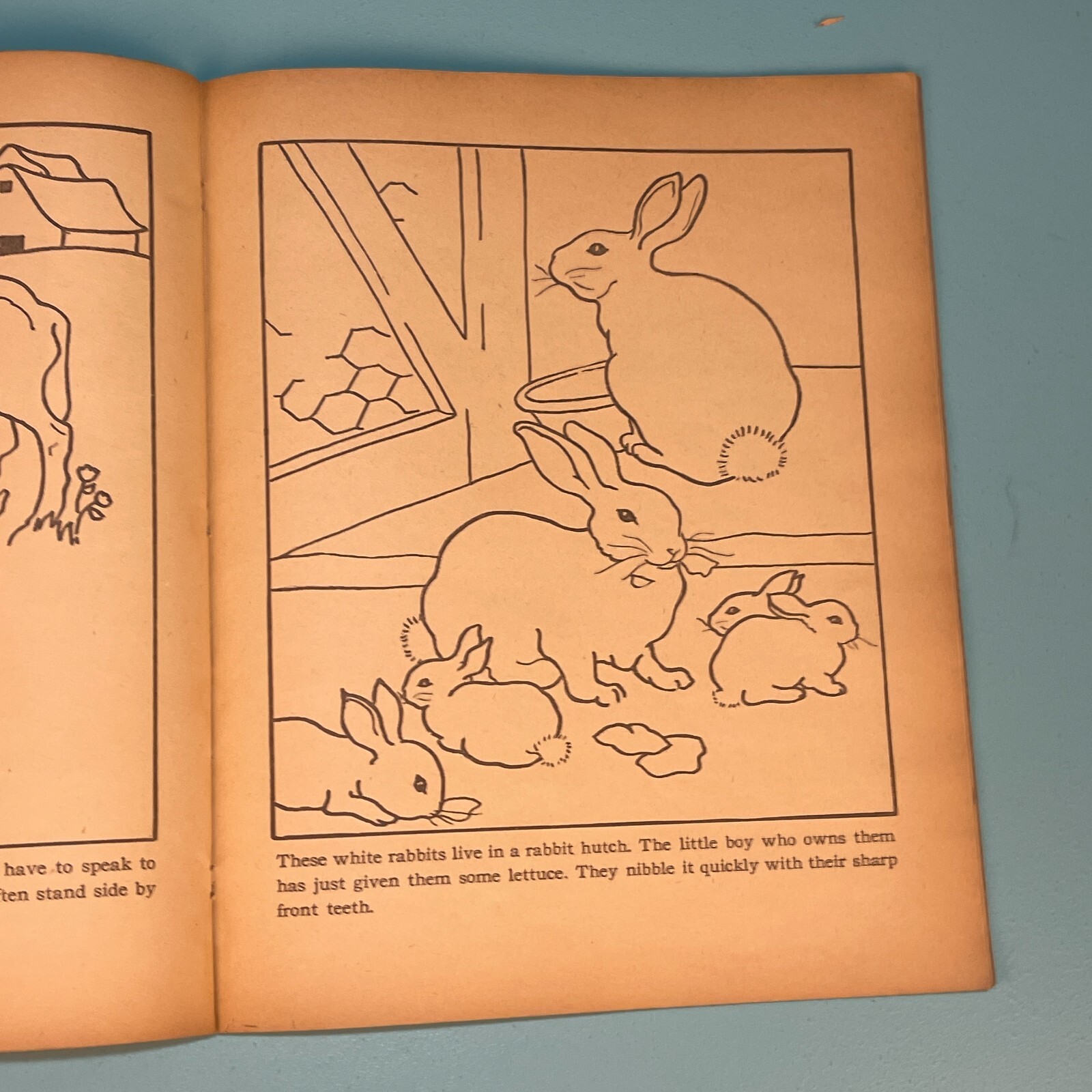 1936 Giant Farmyard Coloring Book – Partially Colored – 14 by 11 inches!