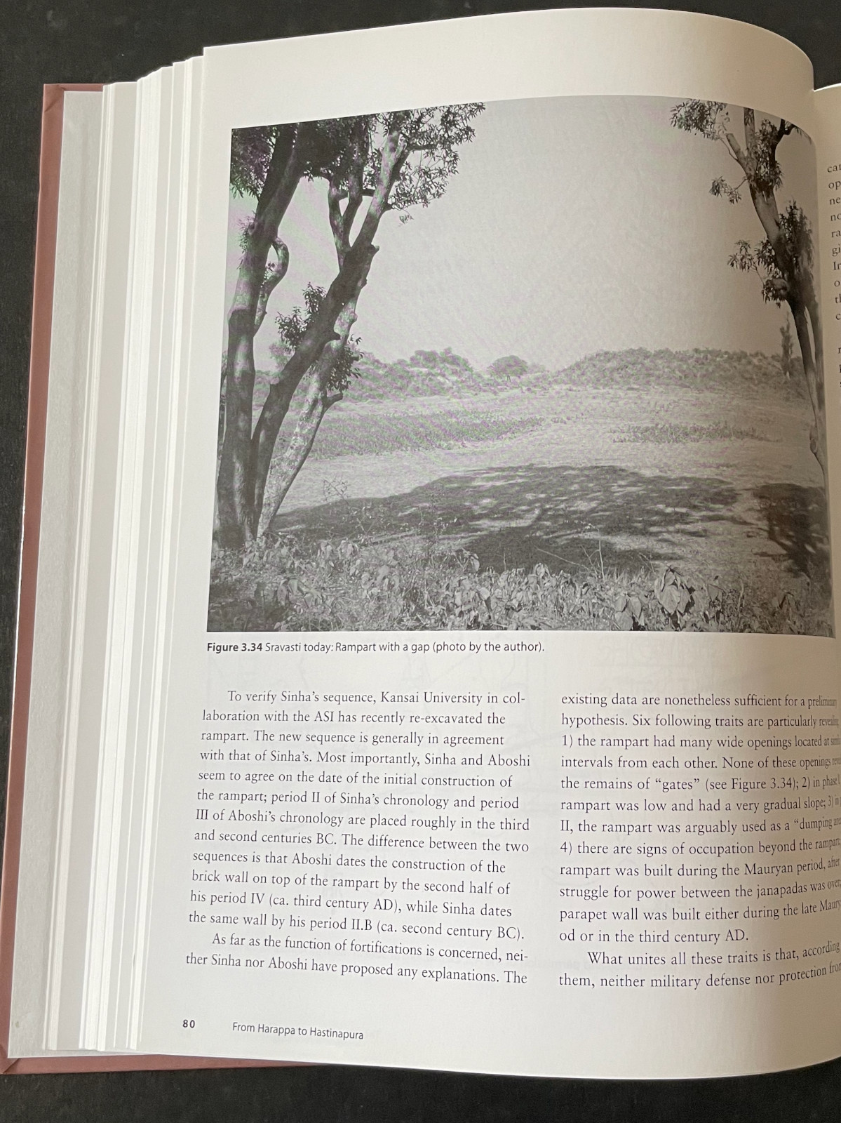 From Harappa to Hastinapura – Earliest South Asian City and Civilization HC 2008