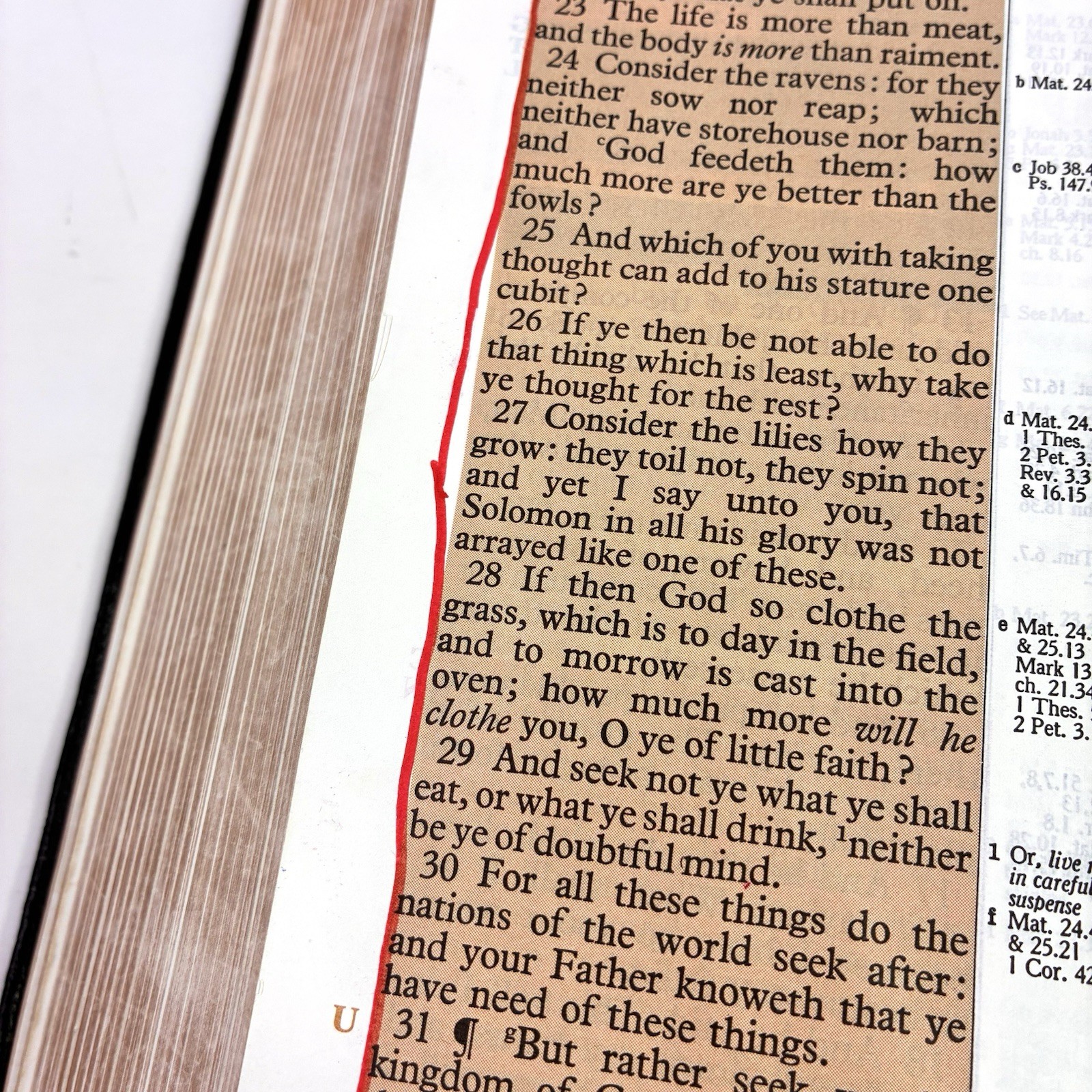 The New Marked Reference Bible Chain Of Reference System 1974 Zondervan 13th