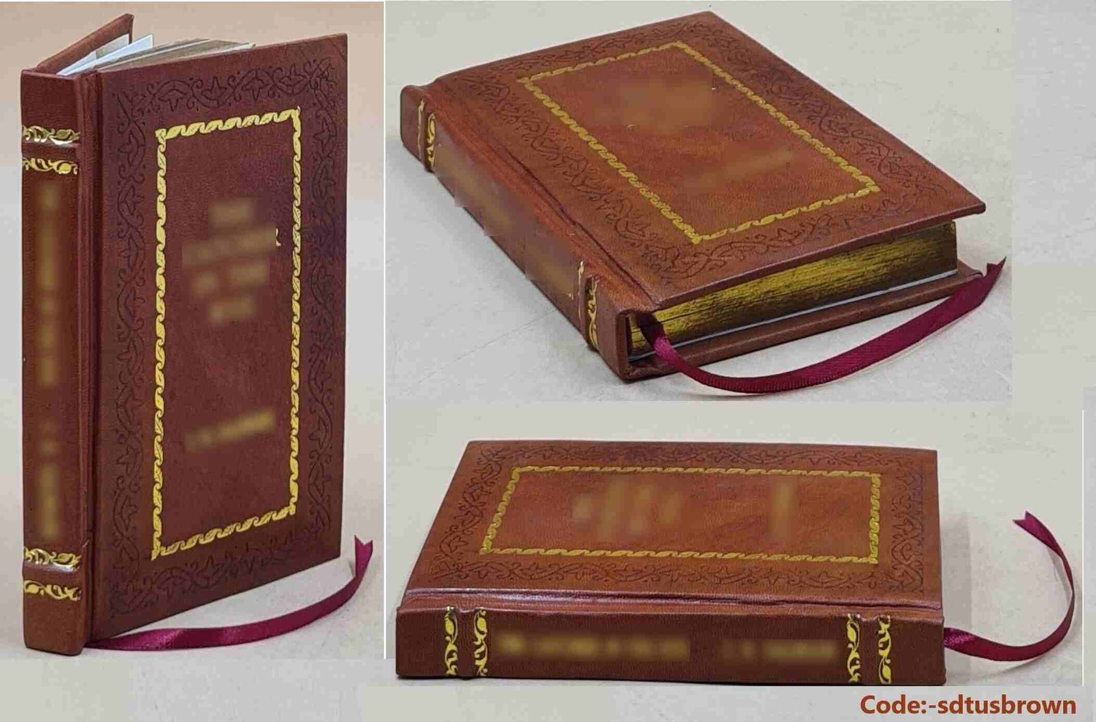 The Corpus Hermeticum: Initiation into Hermetics, The He [Premium Leather Bound]