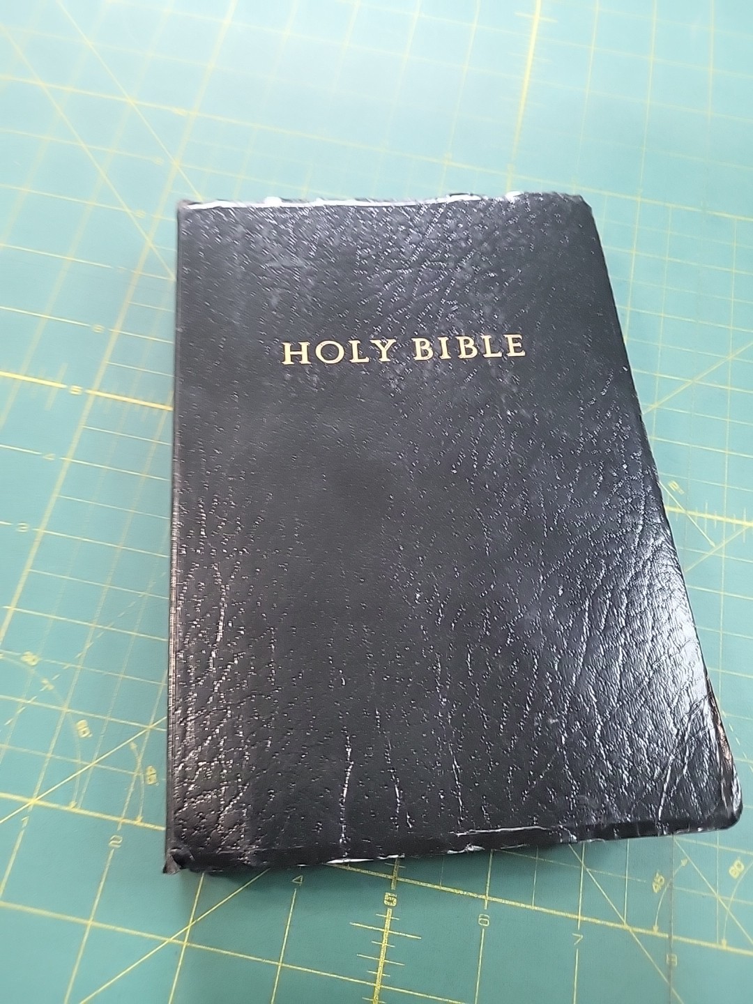 HCSB Gift and Award Bible, Black Imitation Leather