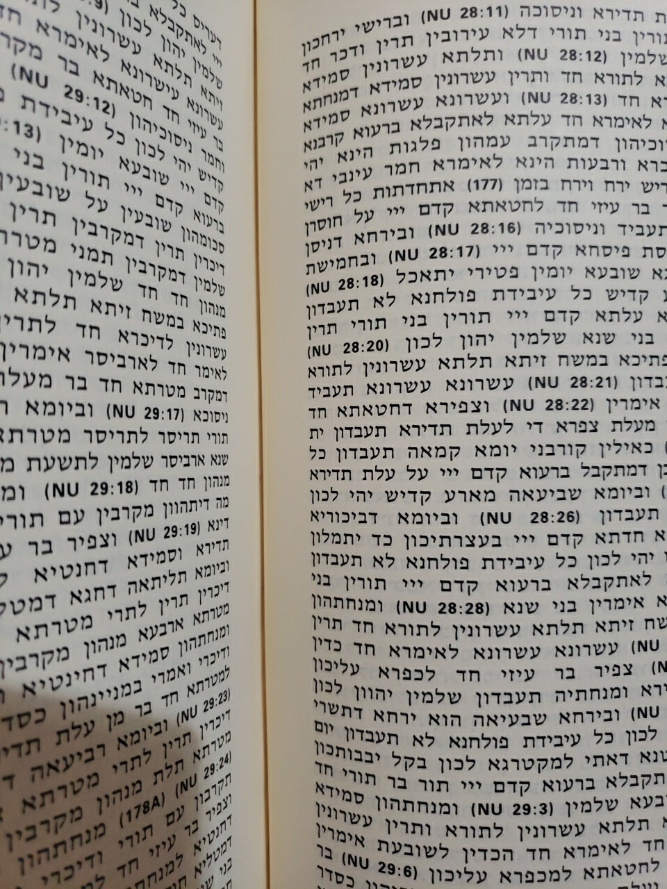 Targum Pseudo-Jonathan of the Pentateuch: Text and Concordance