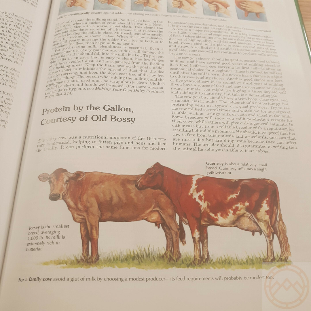 Back to Basics Book Traditional Skills Buying/Working Land Livestock Energy