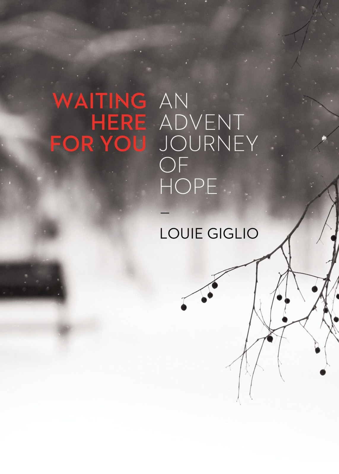 Waiting Here for You – paperback Louie Giglio