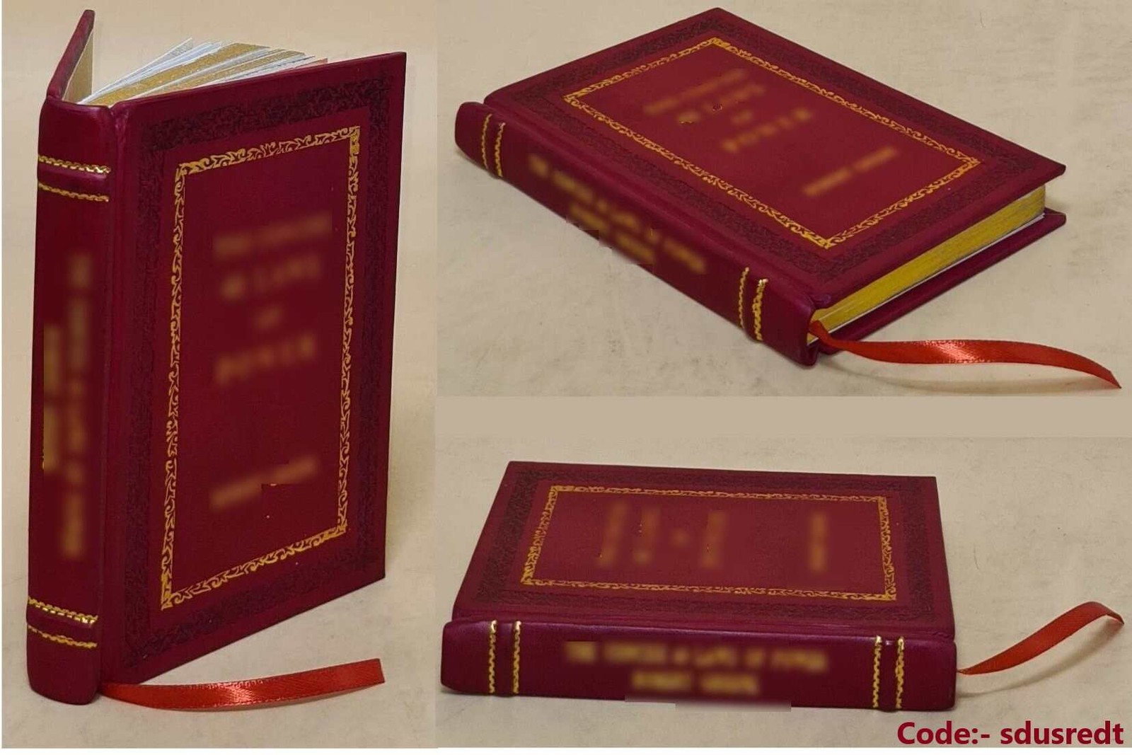 Rollo the Viking: The Life and Legacy of the Viking Rule [Premium Leather Bound]