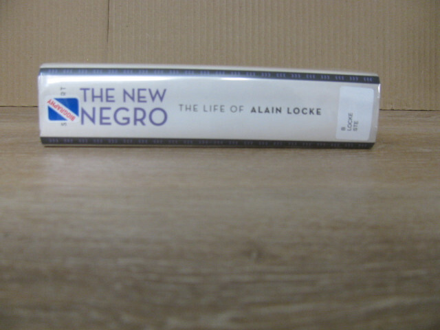 New Negro : The Life of Alain Locke by Jeffrey C. Stewart (2018, Hardcover)