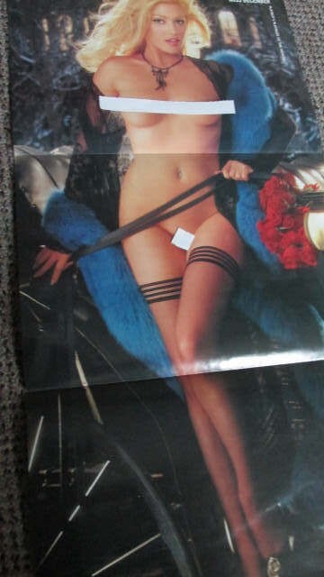Full Year Set of 12, 2001 CENTERFOLDS: Playboy Magazine: DALENE KURTIS PMOY