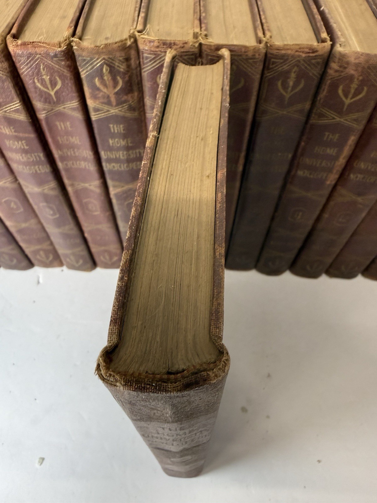 RARE Vintage 15 Volume Set Of The Home University Encyclopedia By C Ralph Taylor