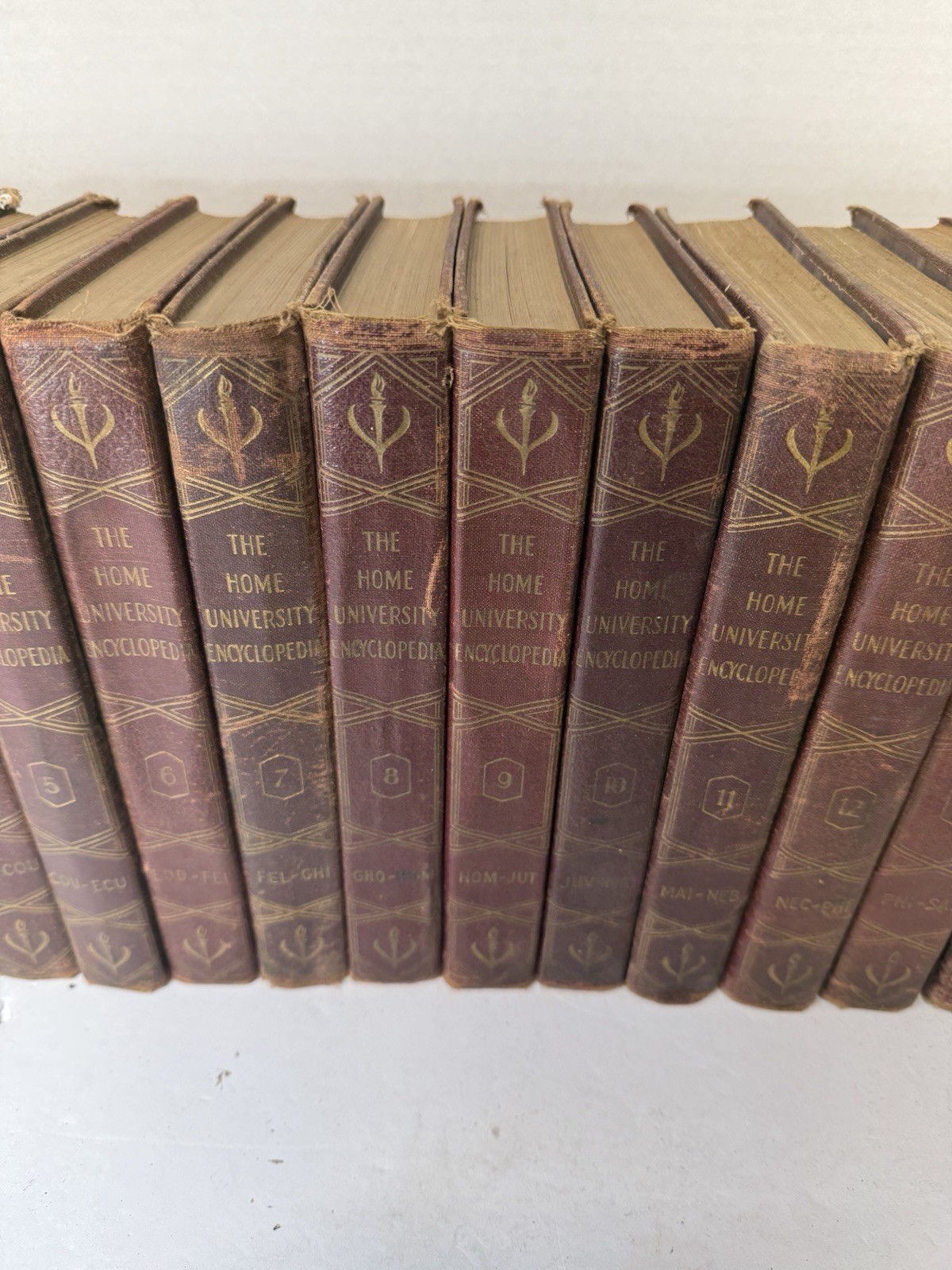 RARE Vintage 15 Volume Set Of The Home University Encyclopedia By C Ralph Taylor
