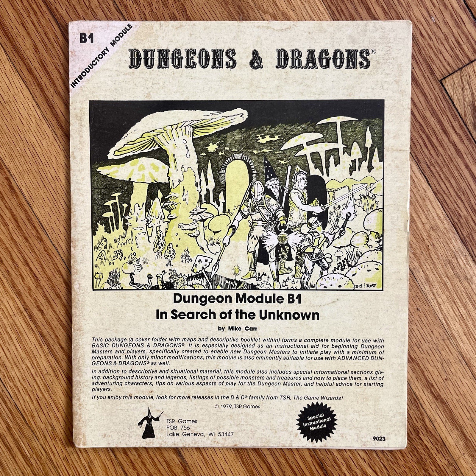 Dungeons and Dragons – Module B1 : In Search of the Unknown Adventure 1979 Carr