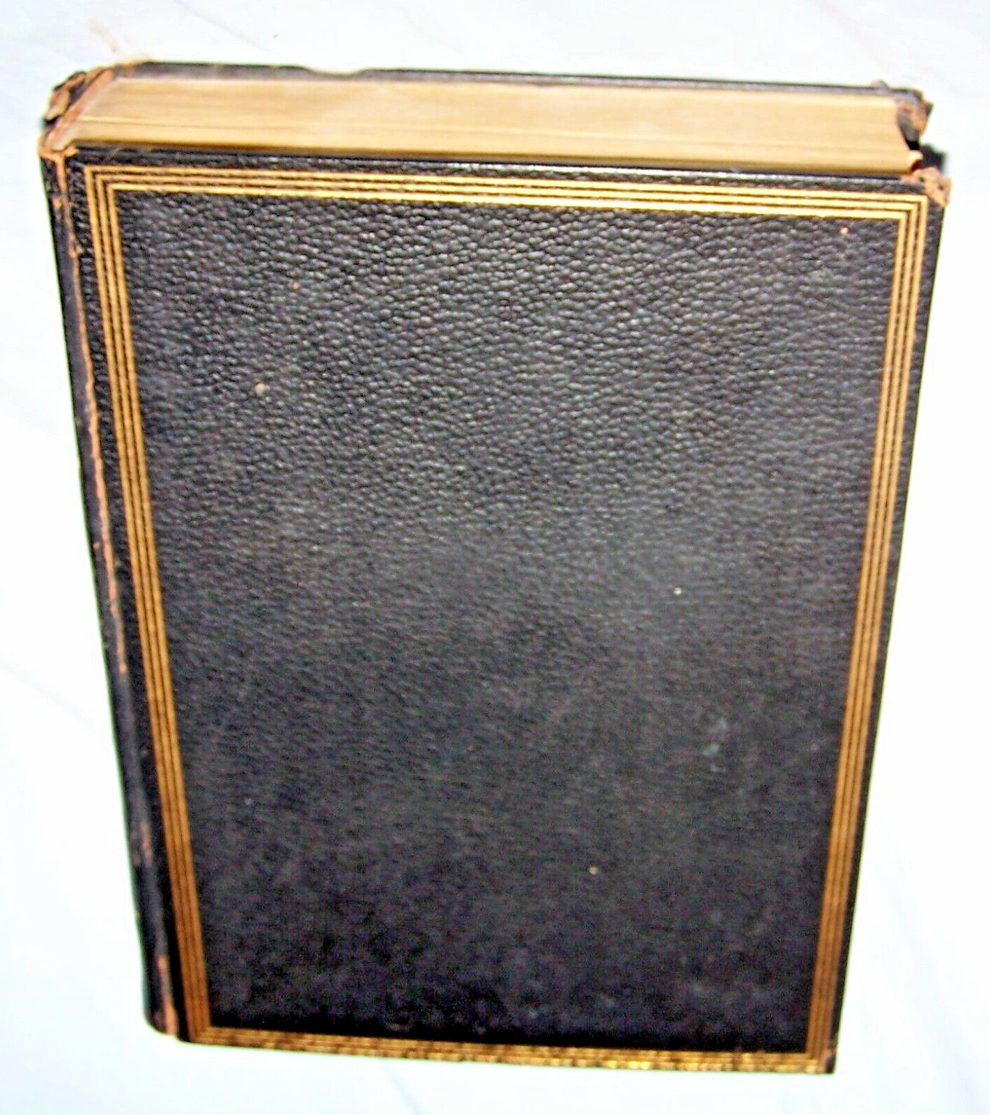 1929 The Americana-A Universal Reference Library-Biographies-198 pages