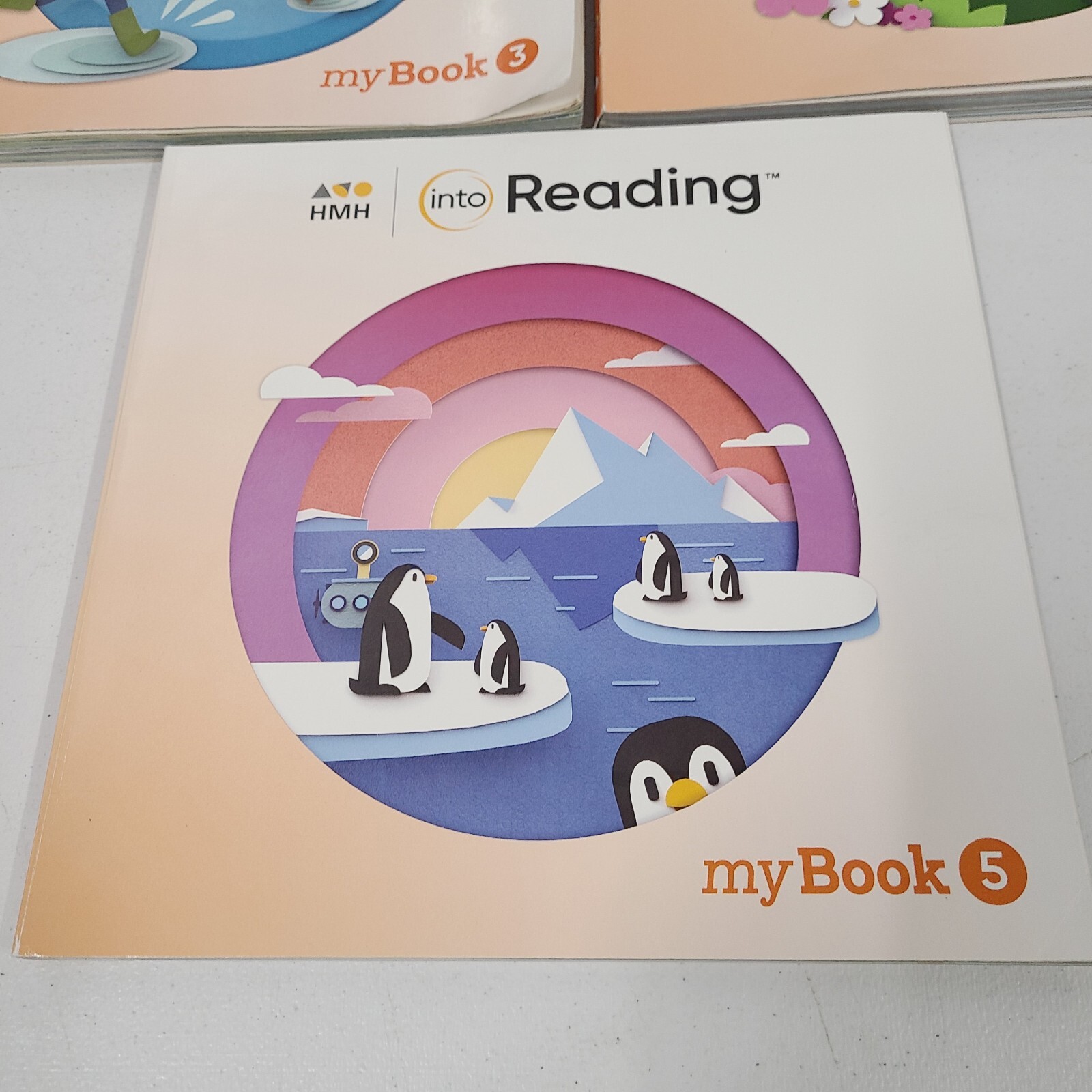 myBook HMH Into Reading Grade 2 Practice Workbook Text – Books 1-5, my book 2nd