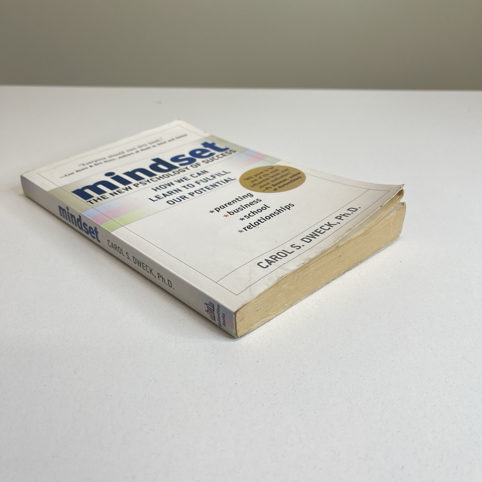 Mindset The New Psychology of Success By Carol S Dweck Paperback Fair