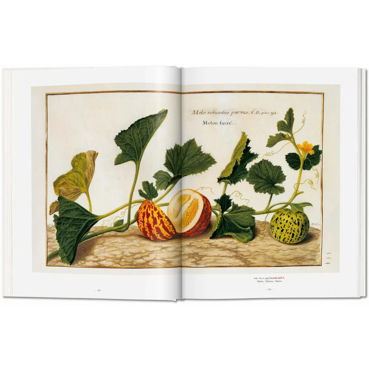 NEW – A Garden Eden. Masterpieces of Botanical Illustration – Taschen Books