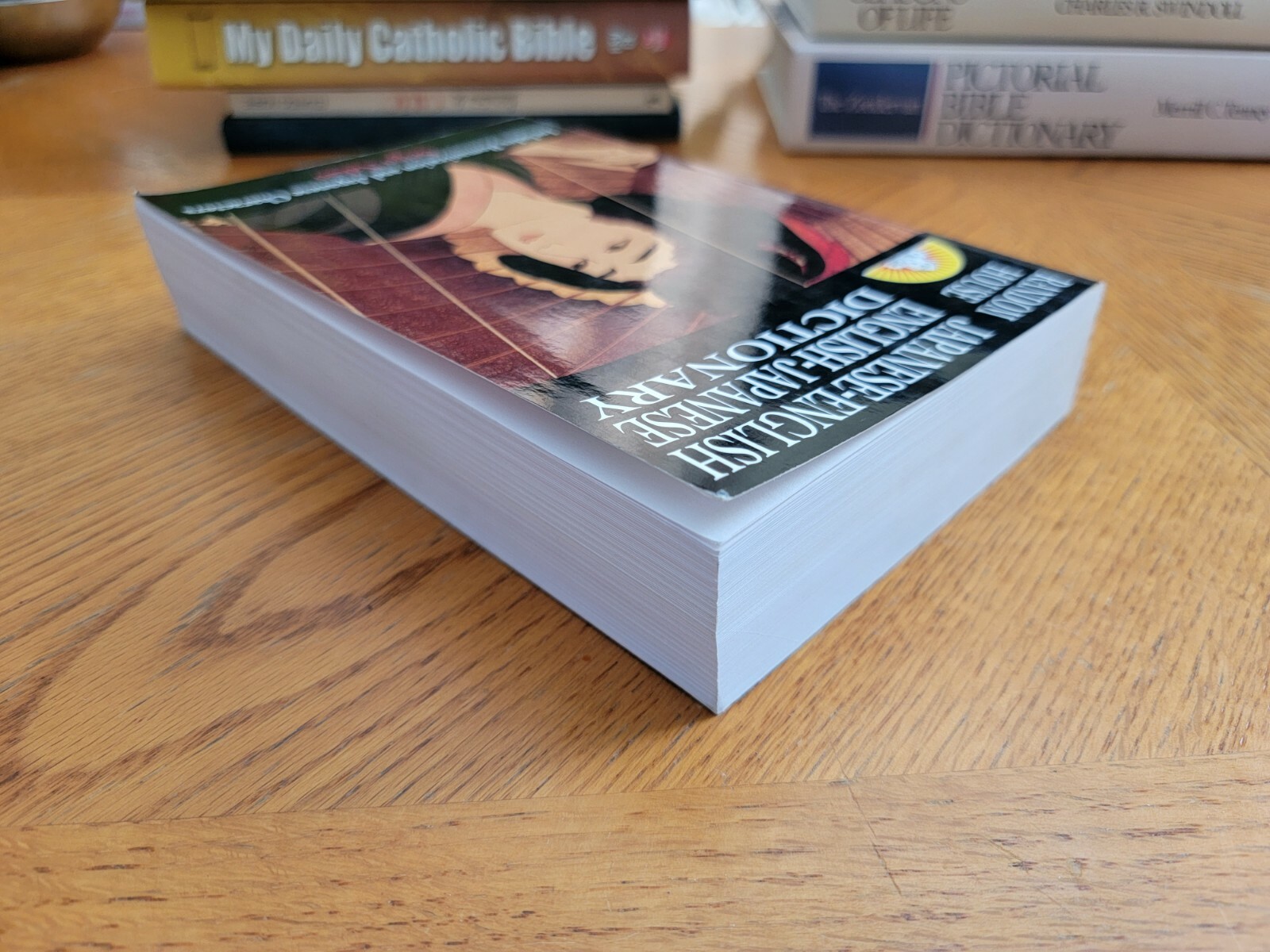 Japanese-English English-Japanese Dictionary, Seigo Nakao