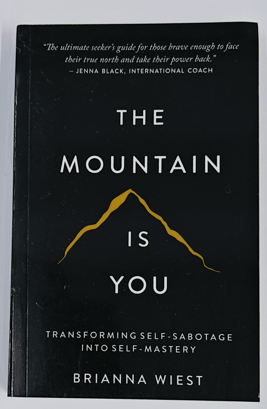 THE MOUNTAIN IS YOU BY BRIANNA WIEST ( USA stock Hot selling )