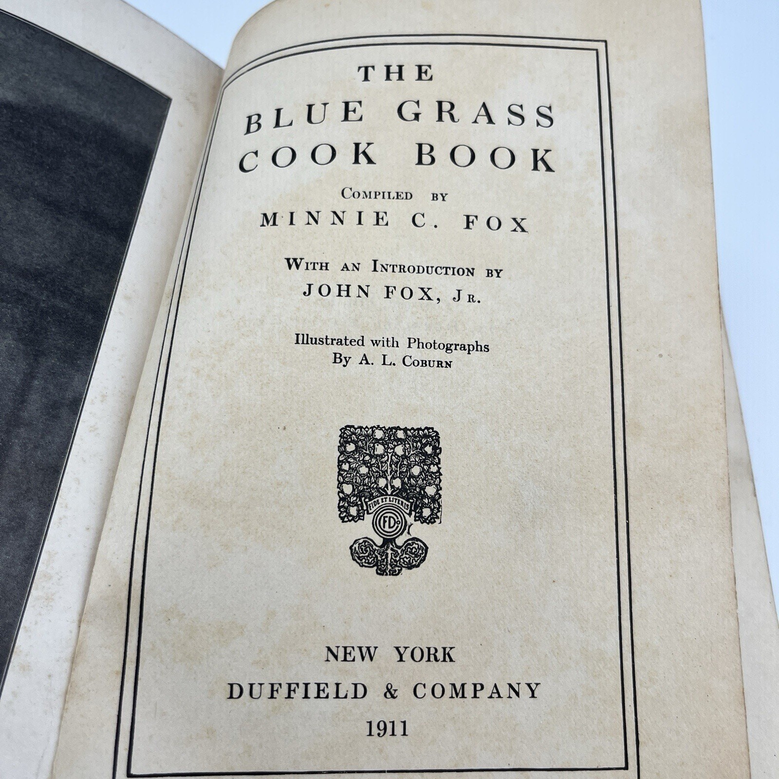 The Blue Grass Cook Book MINNIE C. FOX 1st Edition 1st Printing 1904