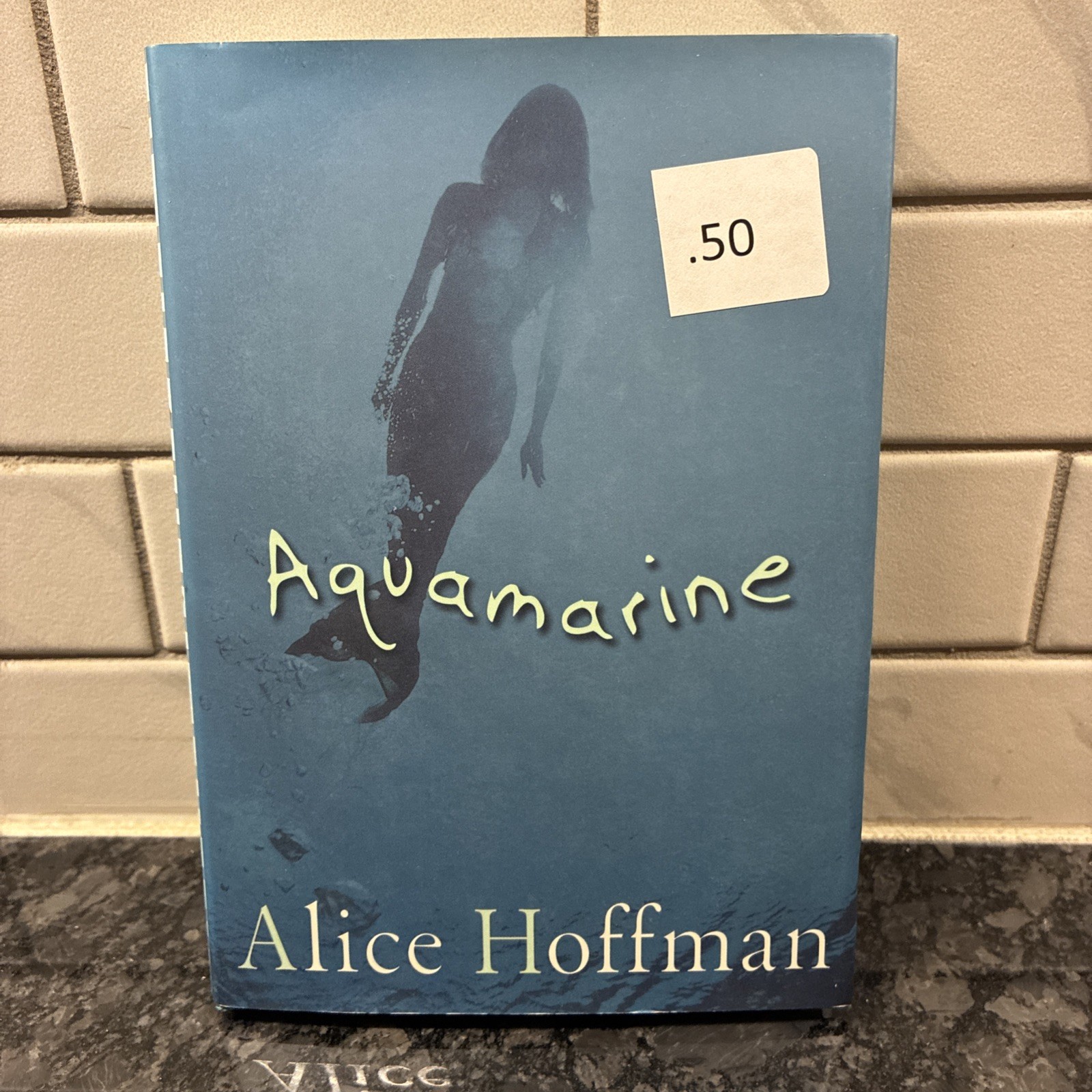 Aquamarine,Alice Hoffman
