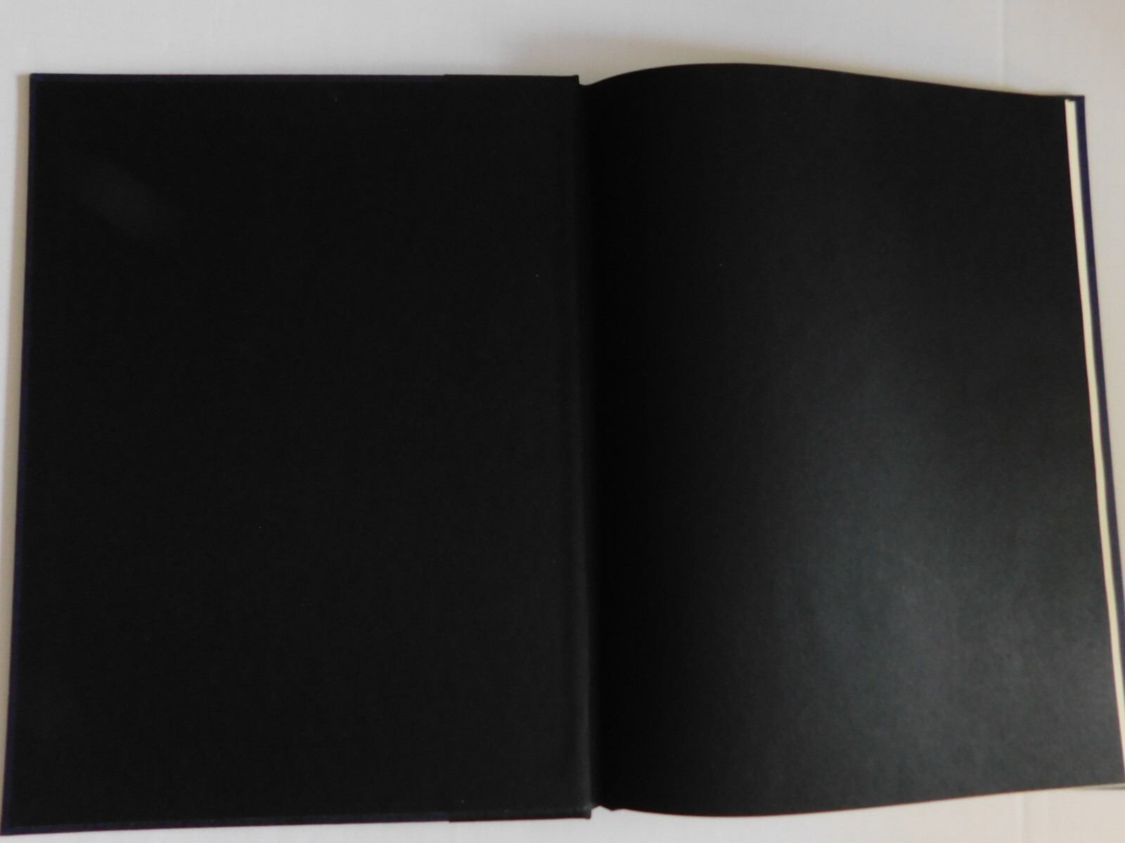 Zathura-A Space Adventure, Signed by Chris Van Allsburg 2002 1st Edition