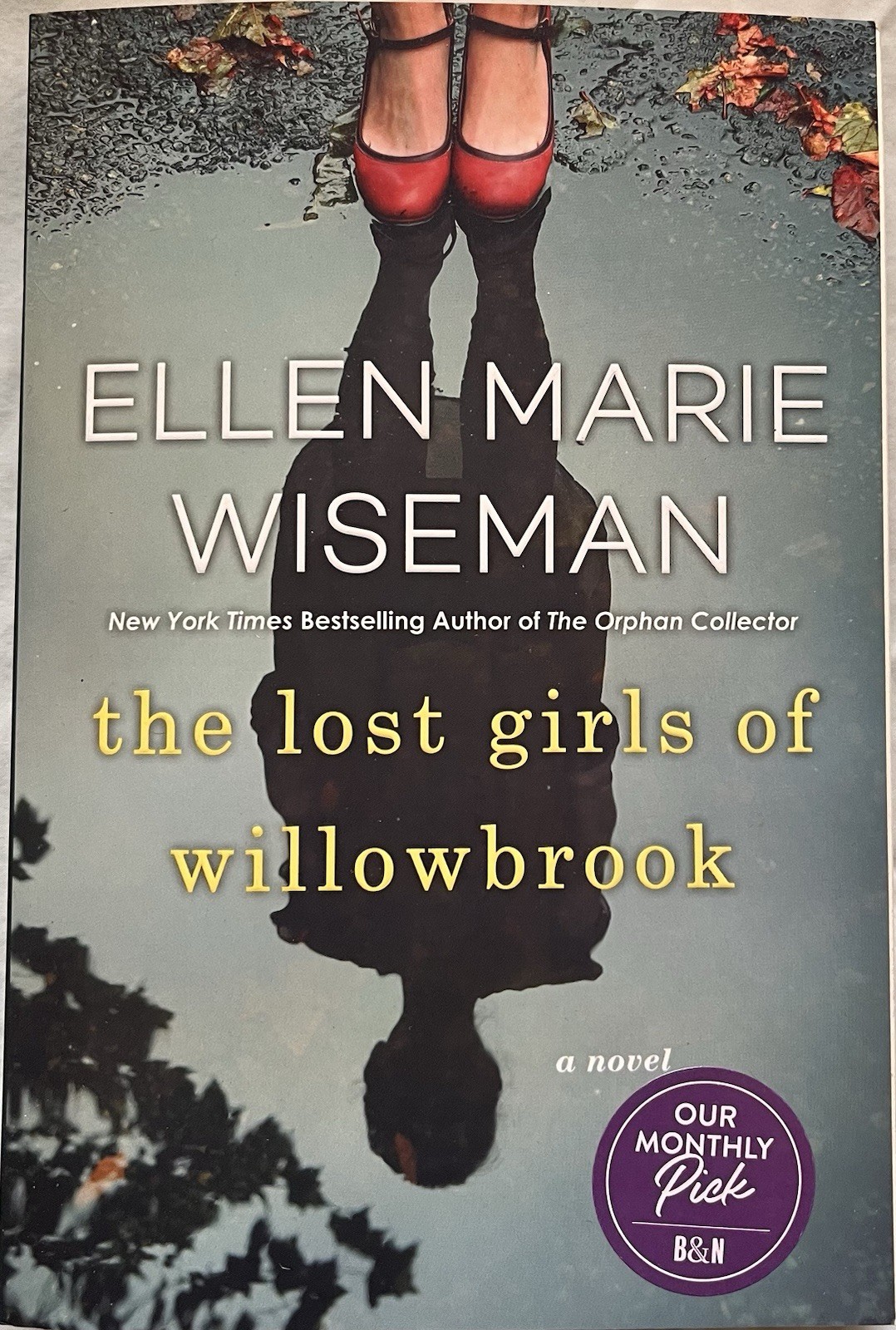 The Lost Girls of Willowbrook by Ellen Marie Wiseman Paperback YA Fiction Novel