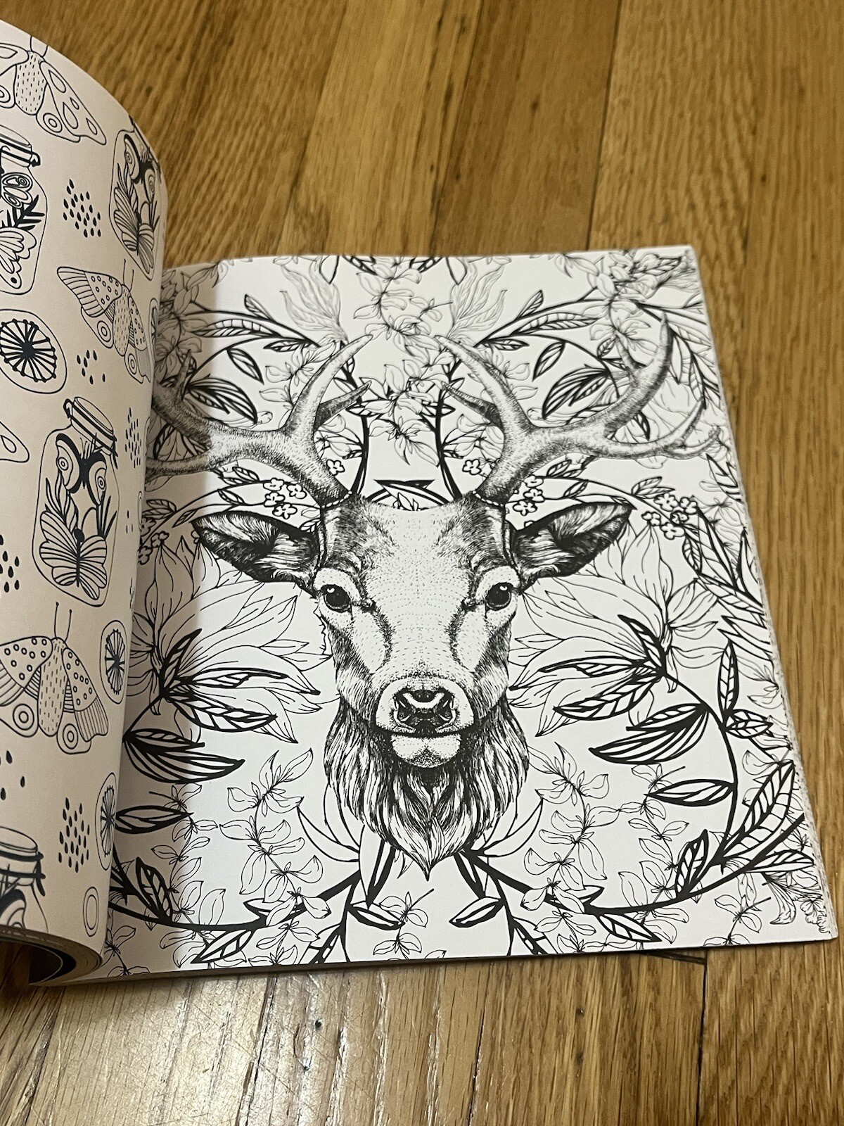 Forestcore Coloring Book 128 Pages Forest to Life Deer Mushrooms Butterflies Art
