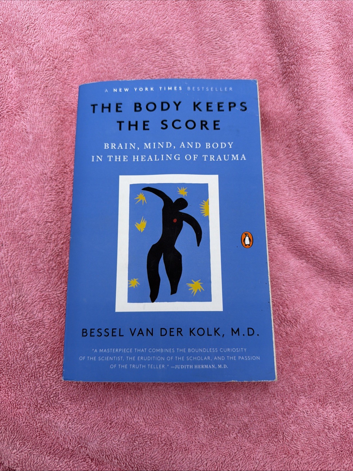 Bessel Van Der Kolk The Body Keeps the Score Paperback Mental Health Trauma
