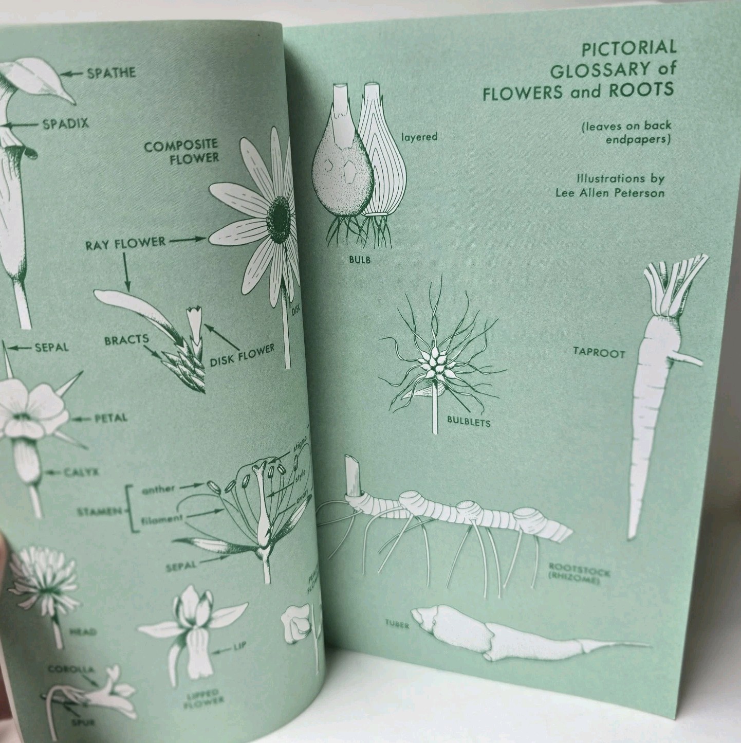 Peterson Field Guide Eastern / Central MEDICINAL PLANTS Steven Foster James Duke