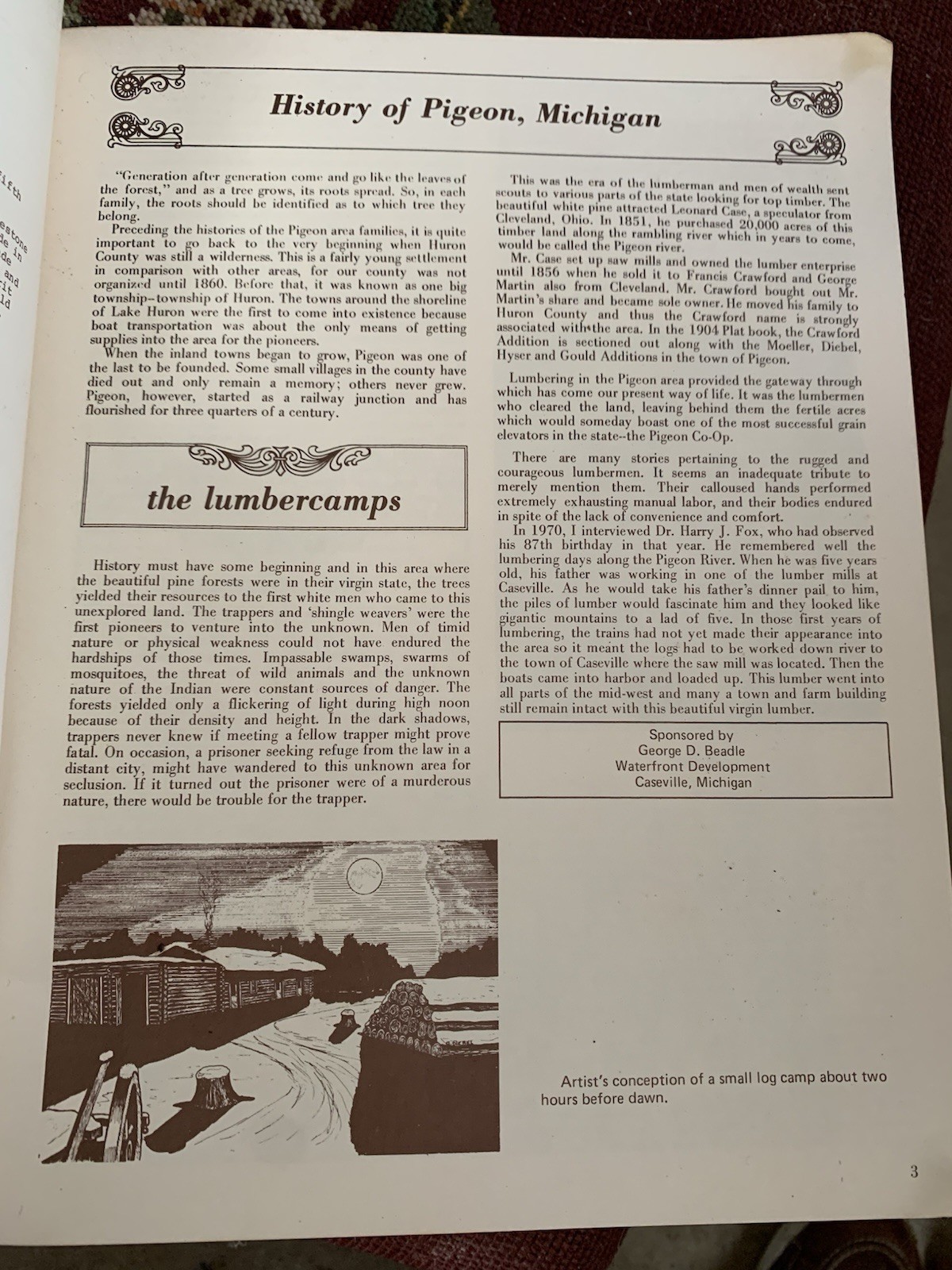 1977 Pigeon Huron County Michigan History Book 216 Pages Elkton Lakers